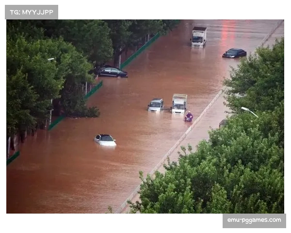 天气与场地预报:雨战或影响布赖顿的地面传控战术 天气与场地预报:雨战或影响布赖顿的地面传控战术